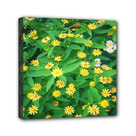 Flower Plant Spring Mini Canvas 6  X 6  (stretched)