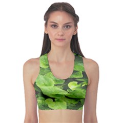 Layered Plant Leaves Iphone Wallpaper Sports Bra by artworkshop