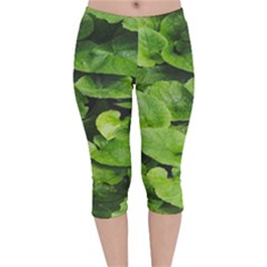 Layered Plant Leaves Iphone Wallpaper Velvet Capri Leggings  by artworkshop