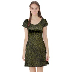 Green Grunge Background Short Sleeve Skater Dress by artworkshop