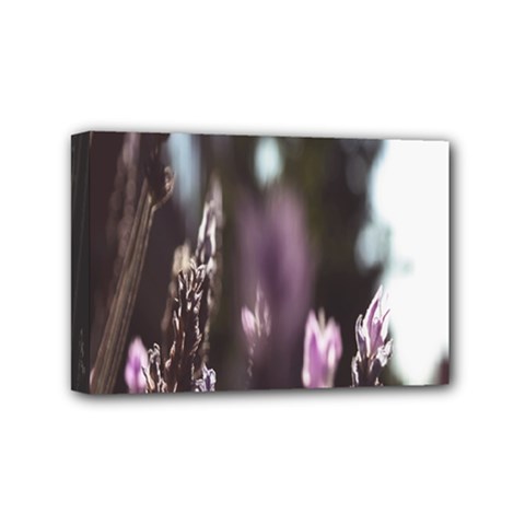 Purple Flower Pattern Mini Canvas 6  x 4  (Stretched)