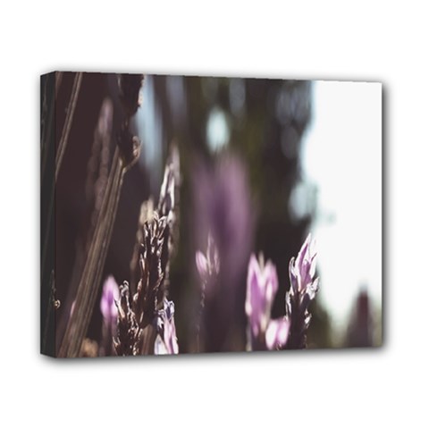 Purple Flower Pattern Canvas 10  x 8  (Stretched)