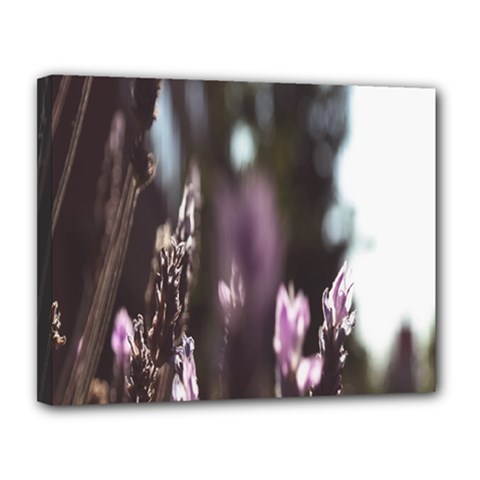 Purple Flower Pattern Canvas 14  x 11  (Stretched)