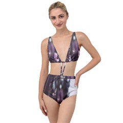 Purple Flower Pattern Tied Up Two Piece Swimsuit