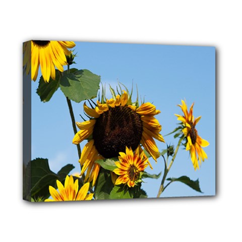 Sunflower Flower Yellow Canvas 10  X 8  (stretched) by artworkshop