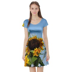 Sunflower Flower Yellow Short Sleeve Skater Dress