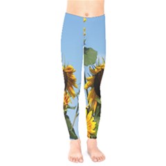 Sunflower Flower Yellow Kids  Leggings by artworkshop