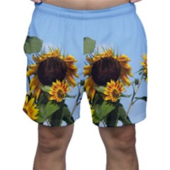 Sunflower Flower Yellow Men s Shorts by artworkshop