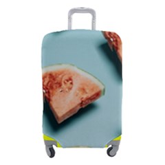 Watermelon Against Blue Surface Pattern Luggage Cover (Small)