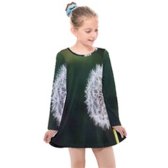 White Flower Kids  Long Sleeve Dress by artworkshop