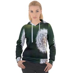 White Flower Women s Overhead Hoodie by artworkshop