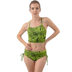 Botanical Motif Plants Detail Photography Mini Tank Bikini Set by dflcprintsclothing