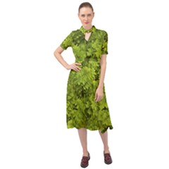 Botanical Motif Plants Detail Photography Keyhole Neckline Chiffon Dress by dflcprintsclothing