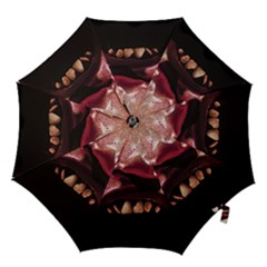 Scary Man Closeup Portrait Illustration Hook Handle Umbrellas (small) by dflcprintsclothing