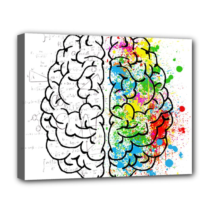 Brain-mind-psychology-idea-drawing Deluxe Canvas 20  x 16  (Stretched)