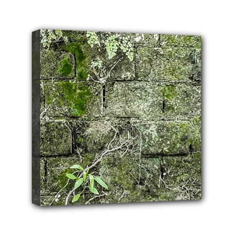 Old Stone Exterior Wall With Moss Mini Canvas 6  X 6  (stretched) by dflcprintsclothing