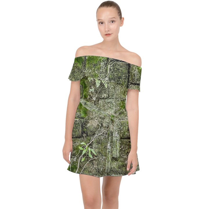 Old Stone Exterior Wall With Moss Off Shoulder Chiffon Dress