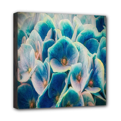 Hydrangeas-blossom-bloom-blue Mini Canvas 8  X 8  (stretched)