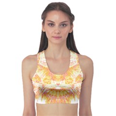 Tiger Face T- Shirttiger T- Shirt (3) Sports Bra by maxcute