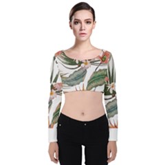 Tropical T- Shirt Tropical Pattern Quiniflore T- Shirt Velvet Long Sleeve Crop Top by maxcute