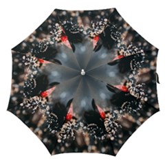 Chocolate Dark Straight Umbrellas by artworkshop