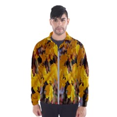 Amazing Arrowtown Autumn Leaves Men s Windbreaker by artworkshop