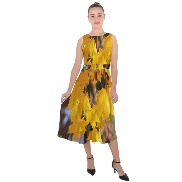 Amazing Arrowtown Autumn Leaves Midi Tie-Back Chiffon Dress