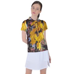 Amazing Arrowtown Autumn Leaves Women s Polo Tee