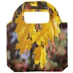 Amazing Arrowtown Autumn Leaves Foldable Grocery Recycle Bag by artworkshop