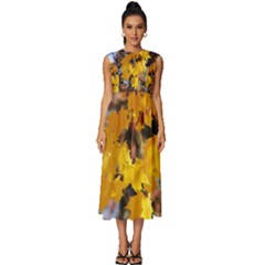 Amazing Arrowtown Autumn Leaves Sleeveless Round Neck Midi Dress by artworkshop