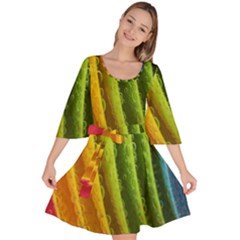  Colorful Illustrations Velour Kimono Dress