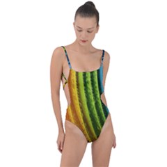  Colorful Illustrations Tie Strap One Piece Swimsuit by artworkshop