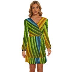  Colorful Illustrations Long Sleeve Waist Tie Ruffle Velour Dress by artworkshop