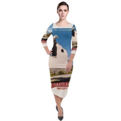  Us Ventag Eagles Travel Poster Graphic Style Redbleuwhite  Quarter Sleeve Midi Velour Bodycon Dress by steakspro94