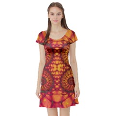 Abstract Art Pattern Fractal Design Short Sleeve Skater Dress