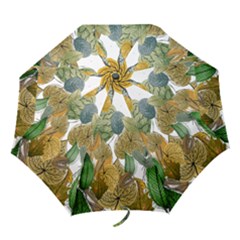 Sheet Autumn Color Drawing Folding Umbrellas