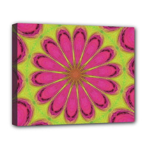 Floral Art Design Pattern Deluxe Canvas 20  X 16  (stretched) by Ravend