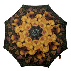 Orange Mushrooms In Patagonia Forest, Ushuaia, Argentina Hook Handle Umbrellas (small) by dflcprintsclothing