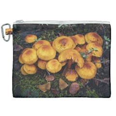 Orange Mushrooms In Patagonia Forest, Ushuaia, Argentina Canvas Cosmetic Bag (xxl) by dflcprintsclothing