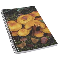 Orange Mushrooms In Patagonia Forest, Ushuaia, Argentina 5 5  X 8 5  Notebook by dflcprintsclothing