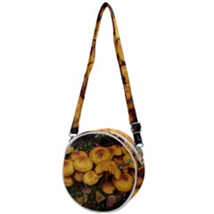 Orange Mushrooms In Patagonia Forest, Ushuaia, Argentina Crossbody Circle Bag by dflcprintsclothing