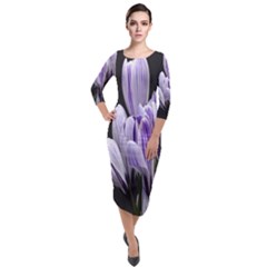 Crocus Flowers Purple Flowers Spring Nature Quarter Sleeve Midi Velour Bodycon Dress by Ravend