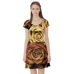 Flowers Roses Plant Bloom Blossom Short Sleeve Skater Dress