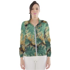 Colored Close Up Plants Leaves Pattern Women s Windbreaker by dflcprintsclothing