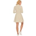 Champagne White - Long Sleeve Velour Longline Dress View4