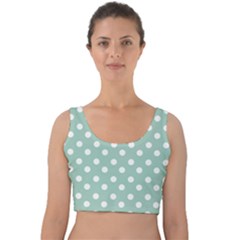 Light Blue And White Polka Dots Velvet Crop Top by GardenOfOphir