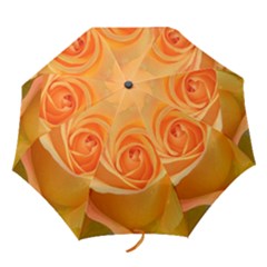 Flower Plant Rose Nature Garden Orange Macro Folding Umbrellas