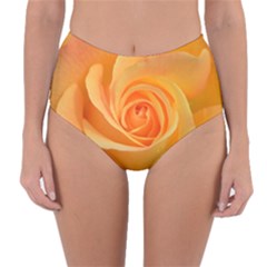 Flower Plant Rose Nature Garden Orange Macro Reversible High-waist Bikini Bottoms