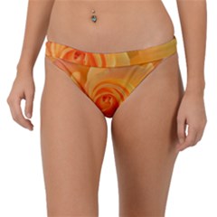 Flower Plant Rose Nature Garden Orange Macro Band Bikini Bottoms