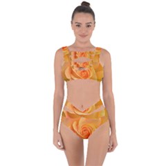 Flower Plant Rose Nature Garden Orange Macro Bandaged Up Bikini Set  by Ravend